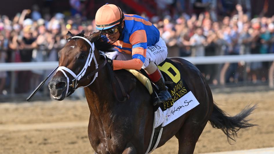 Fierceness, 2024 Longines Breeders' Cup Classic